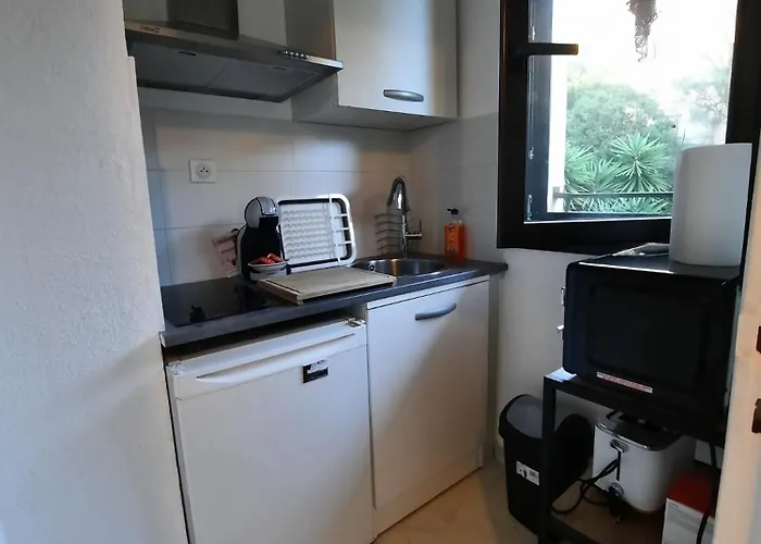 Vue Sanguinaires 3 Minutes Des Plages